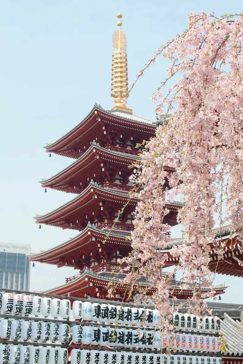 popular-destination-img-1